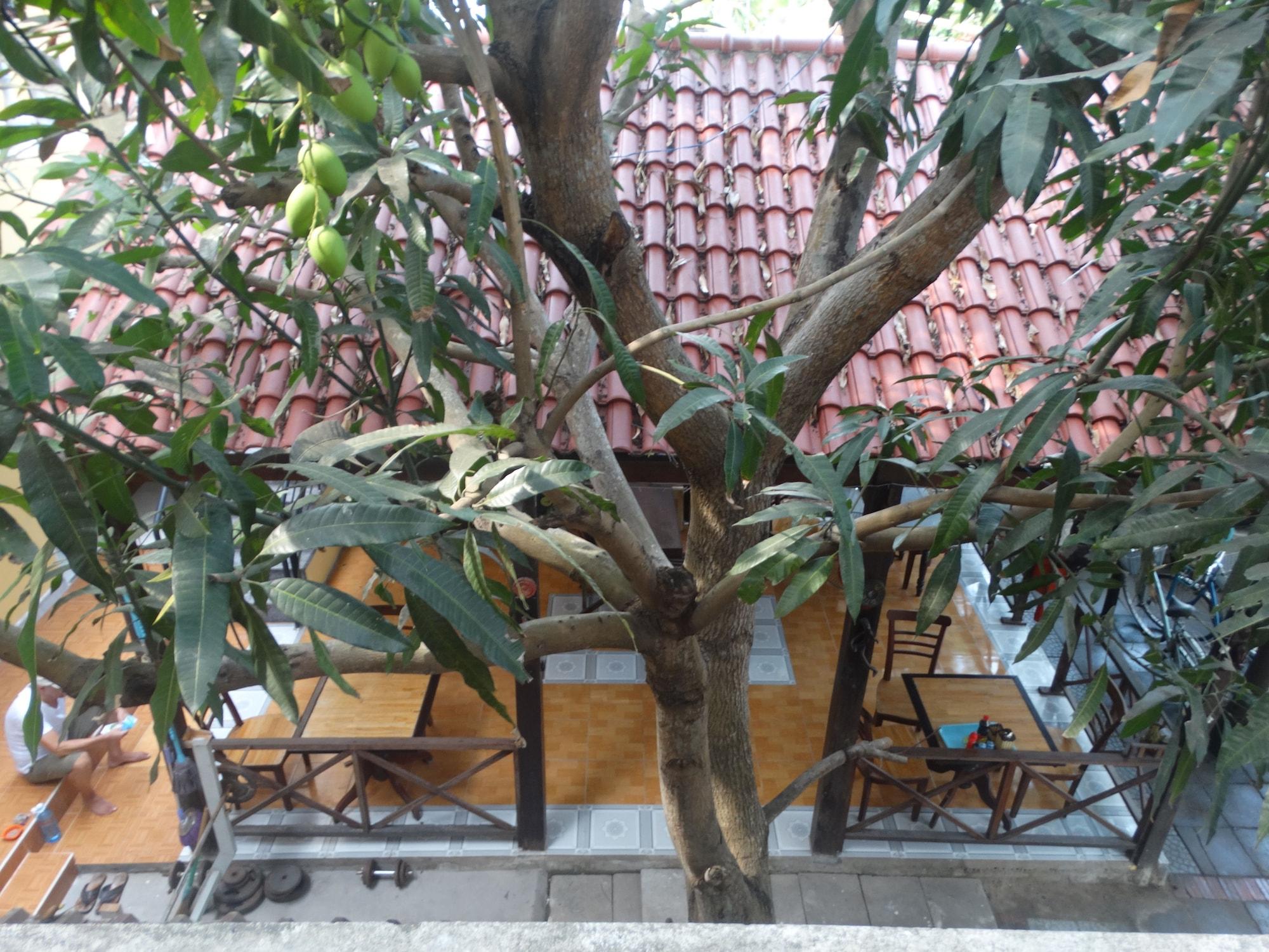 Yellow House Homestay Хоян Екстер'єр фото